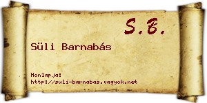 Süli Barnabás névjegykártya